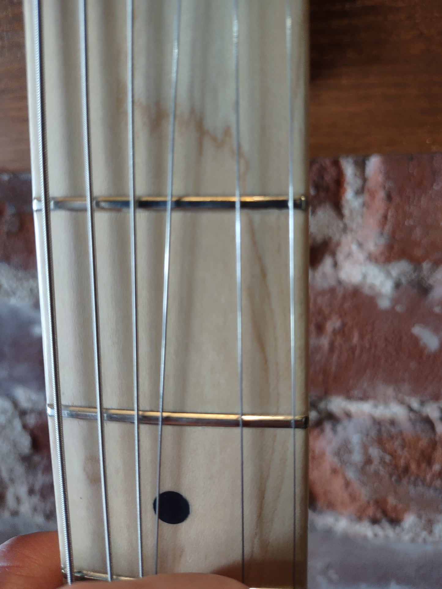 Fender Stratocaster EC Signature with OHSC