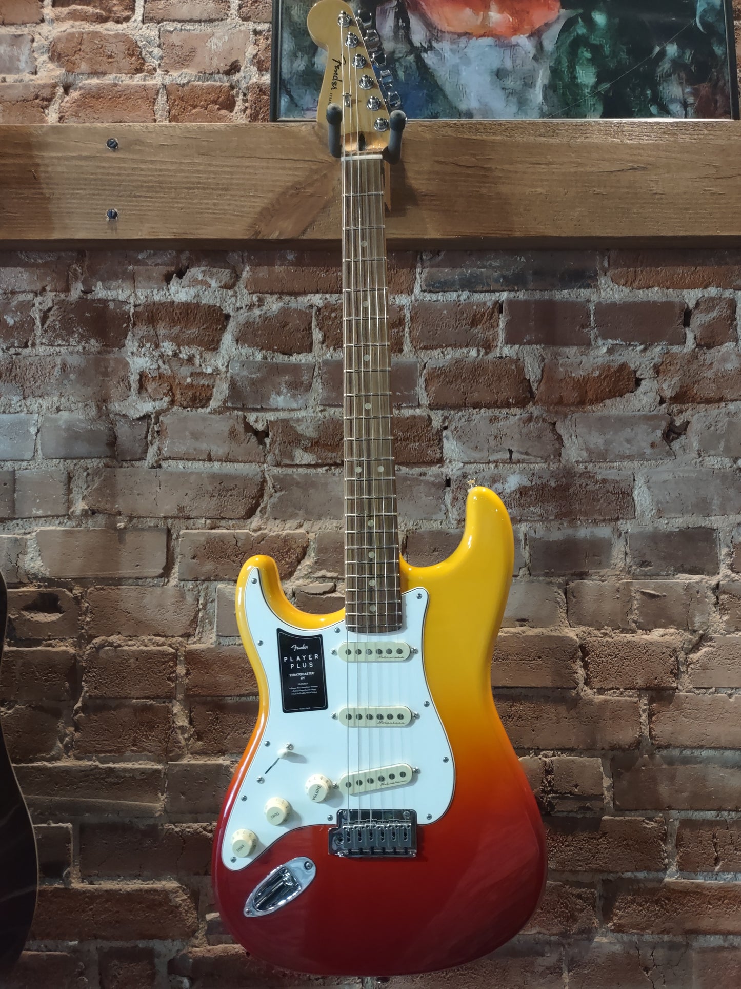 Fender Strat Player Plus LH