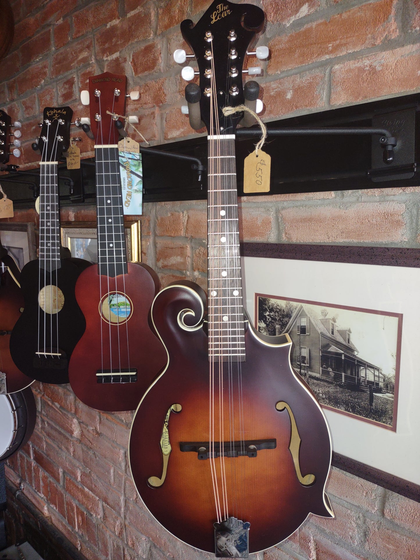 Mandolin Loar F-Style