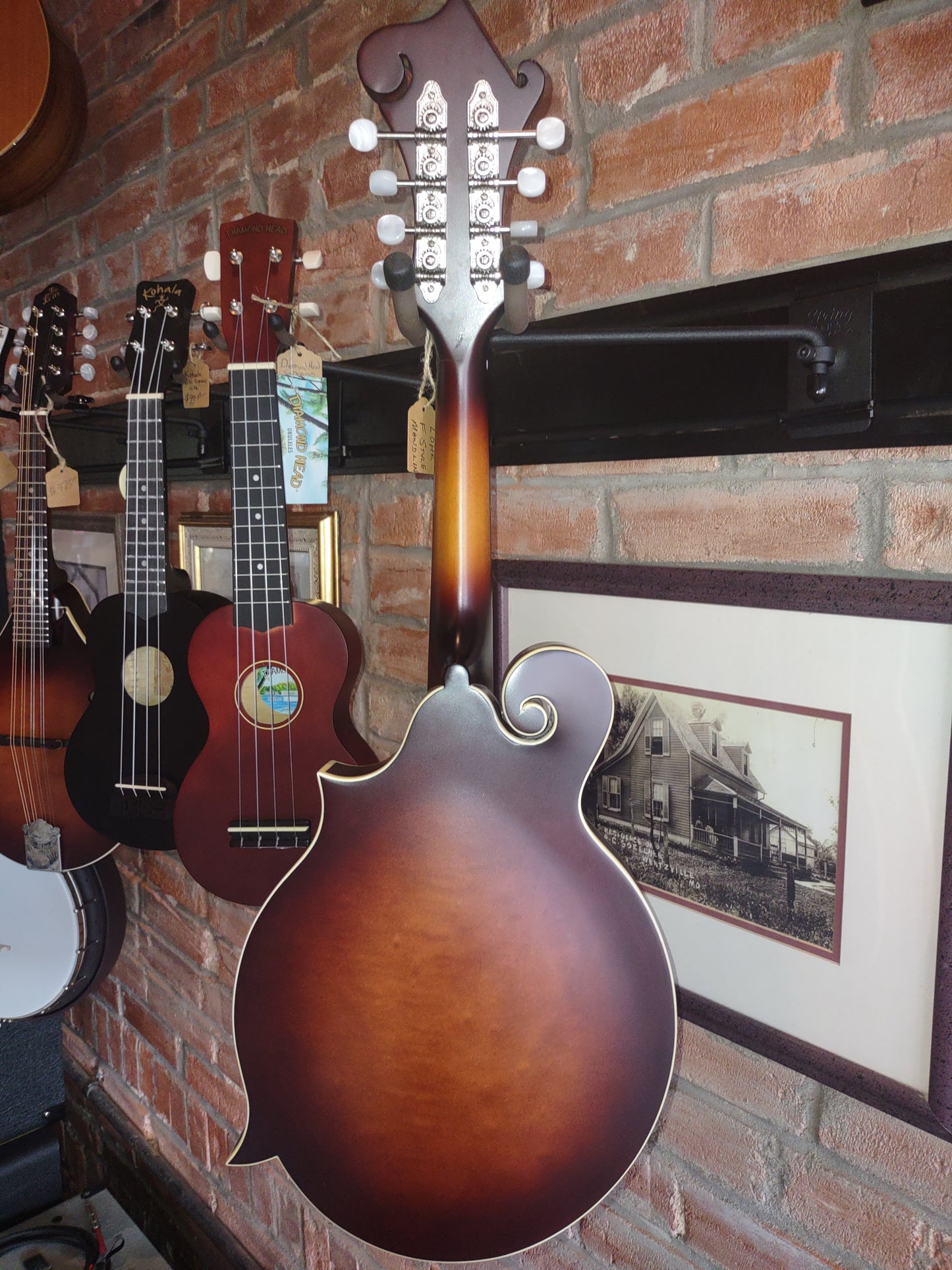 Mandolin Loar F-Style