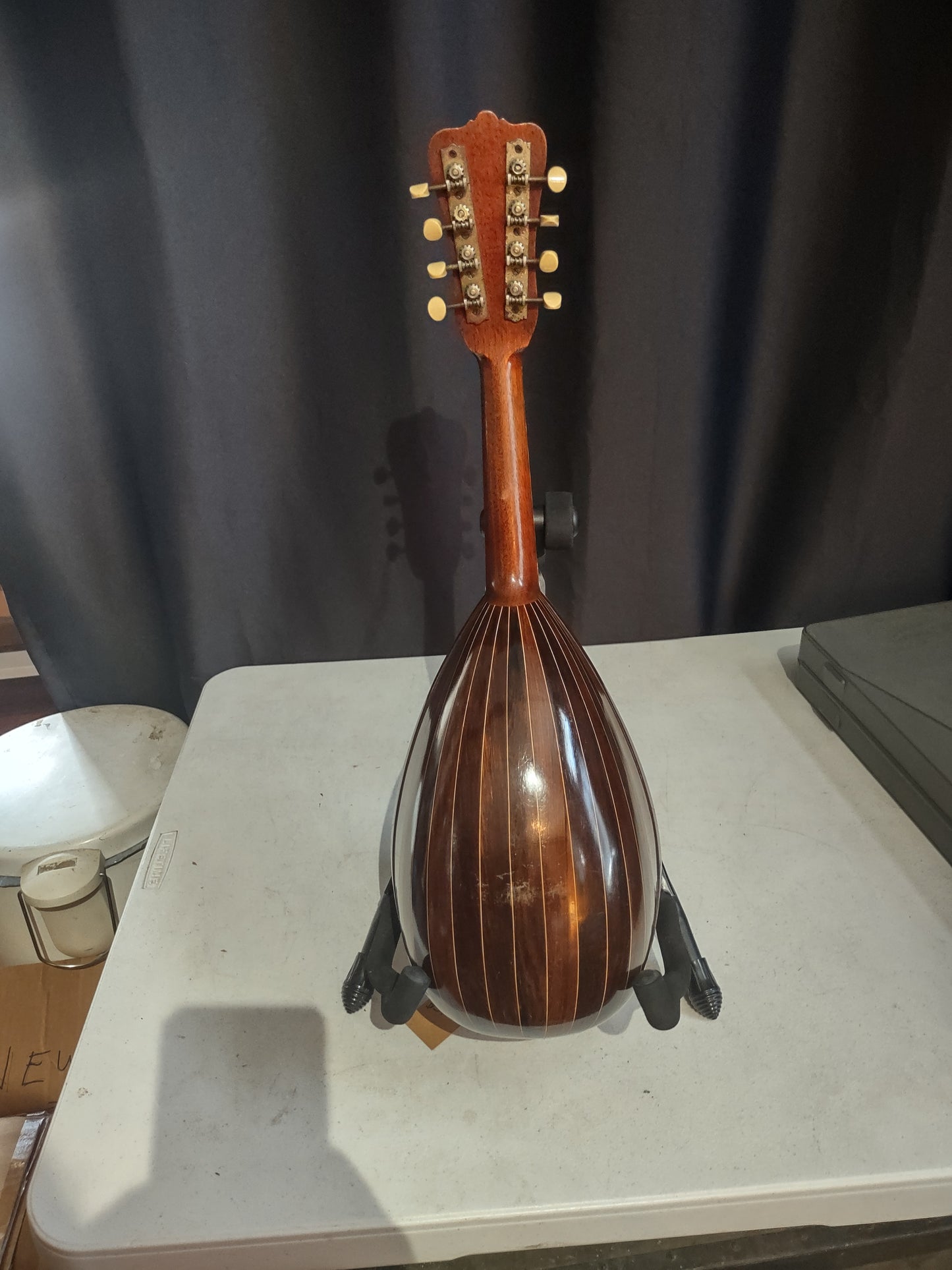 Mandolin, Washburn 1920