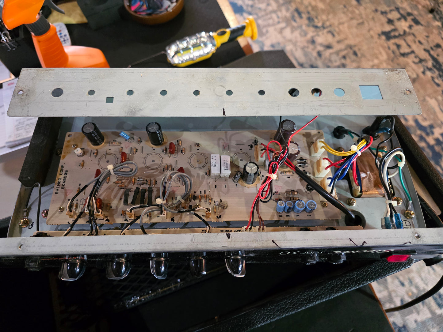 Epiphone/Electar Amp and cabinet