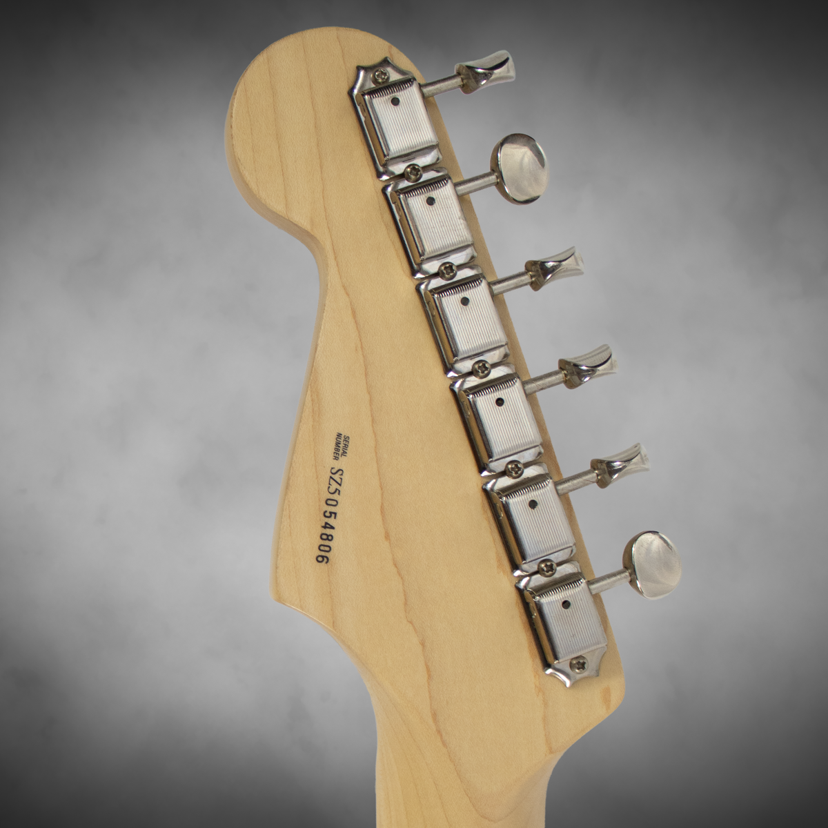 Fender Stratocaster EC Signature with OHSC