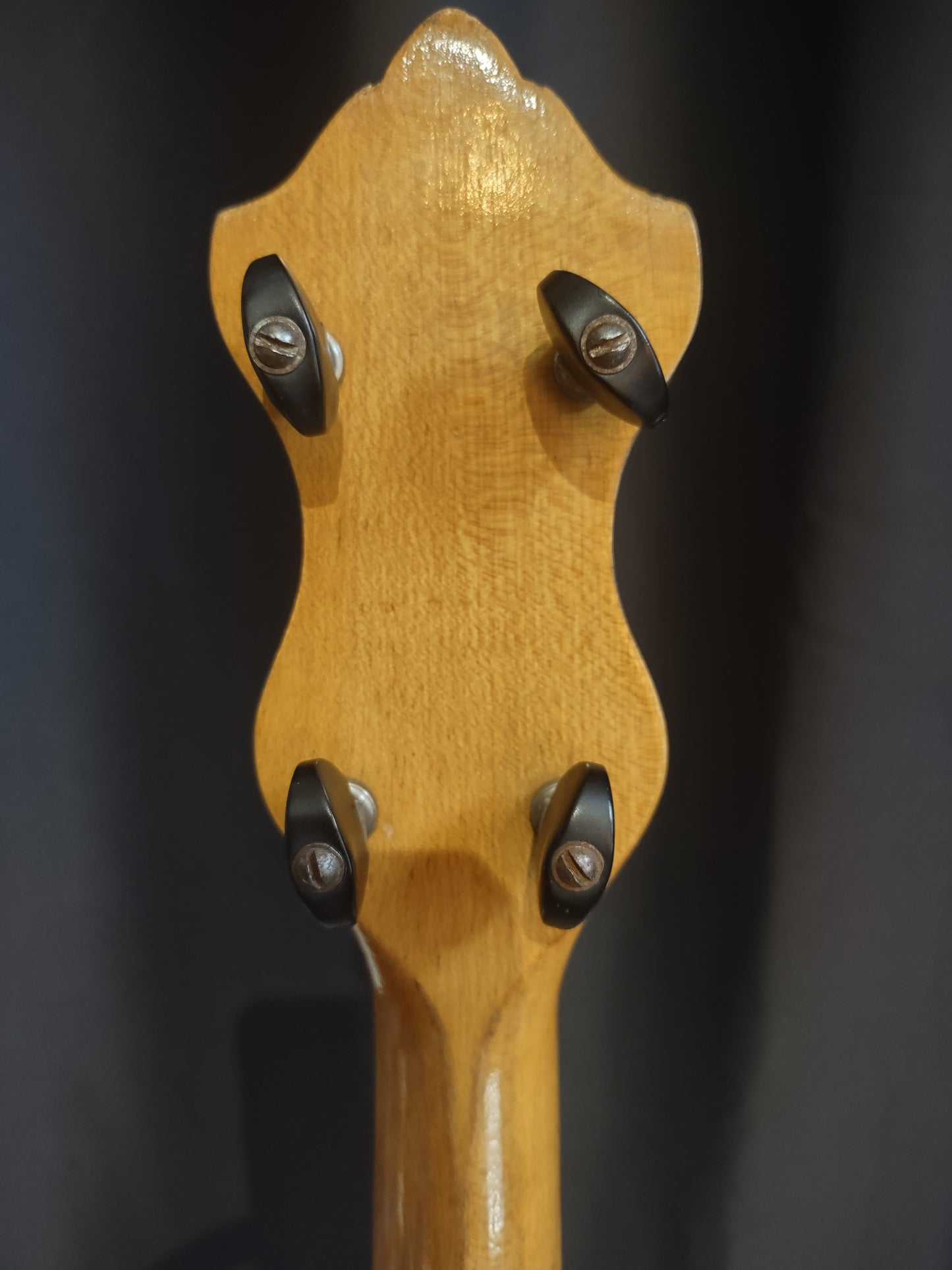 Banjo Perfactone Tennor. 1920's