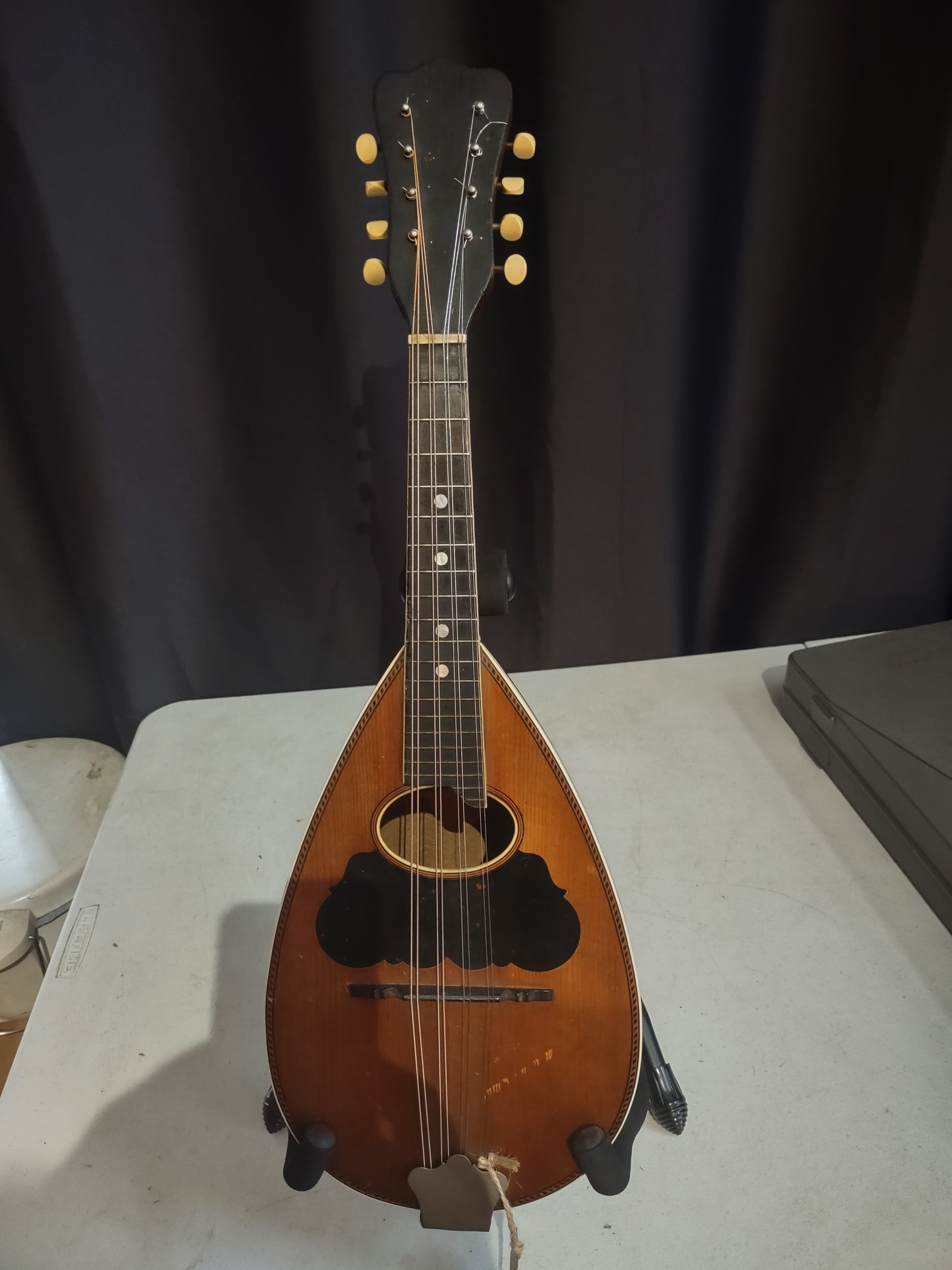 Mandolin, Washburn 1920