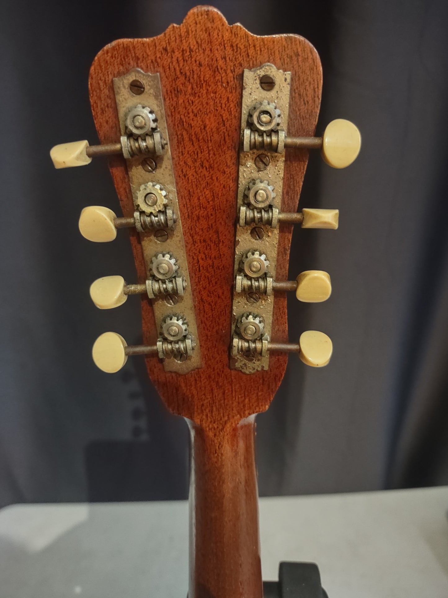 Mandolin, Washburn 1920
