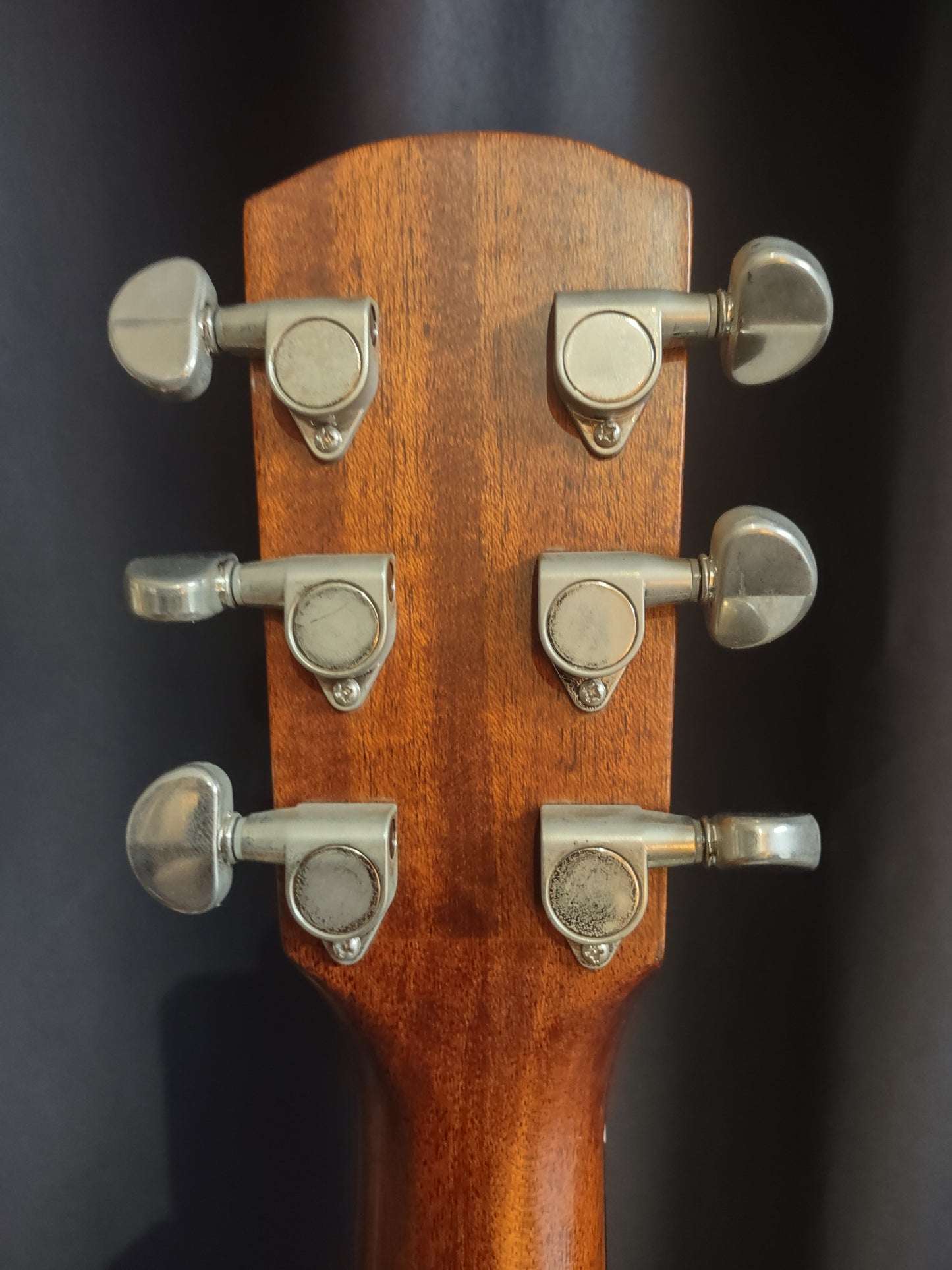 Alverez Acoustic Model # RF 20 SM. with case