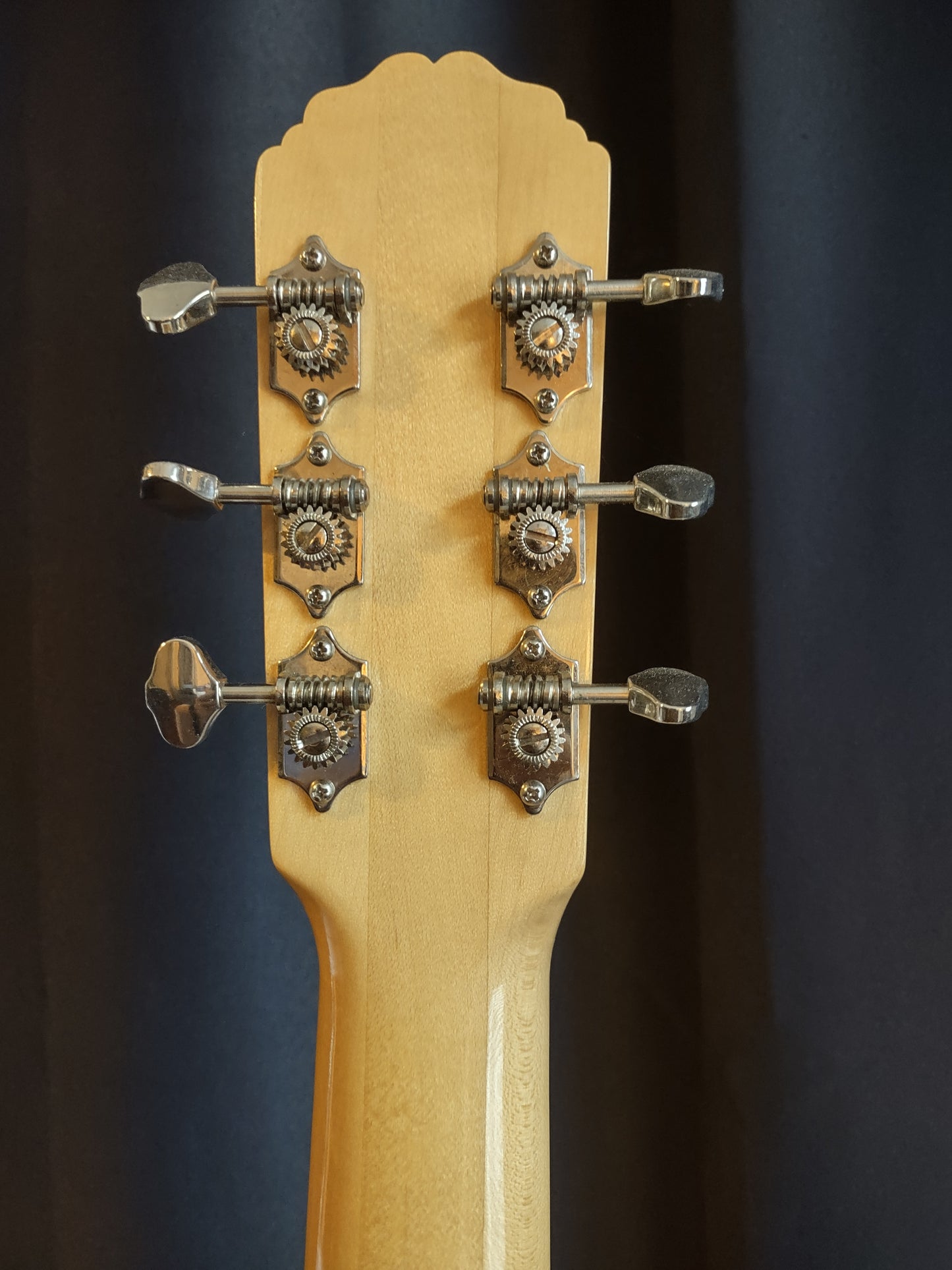 Gitane DG 250 M acoustic