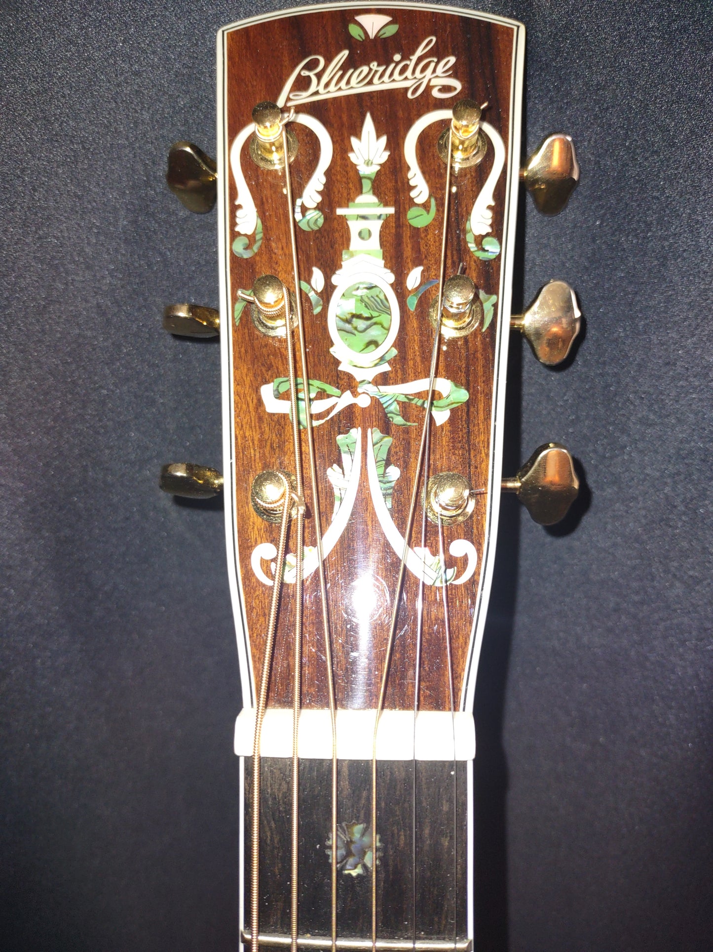 Blueridge BR180 Heritage 2022. with HSC