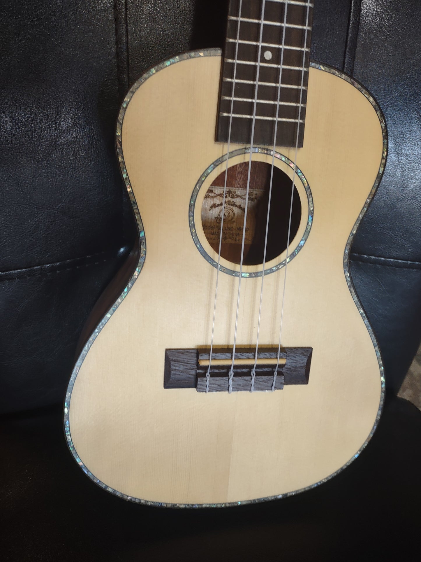 Snail AR-400 Ukuelele with bag