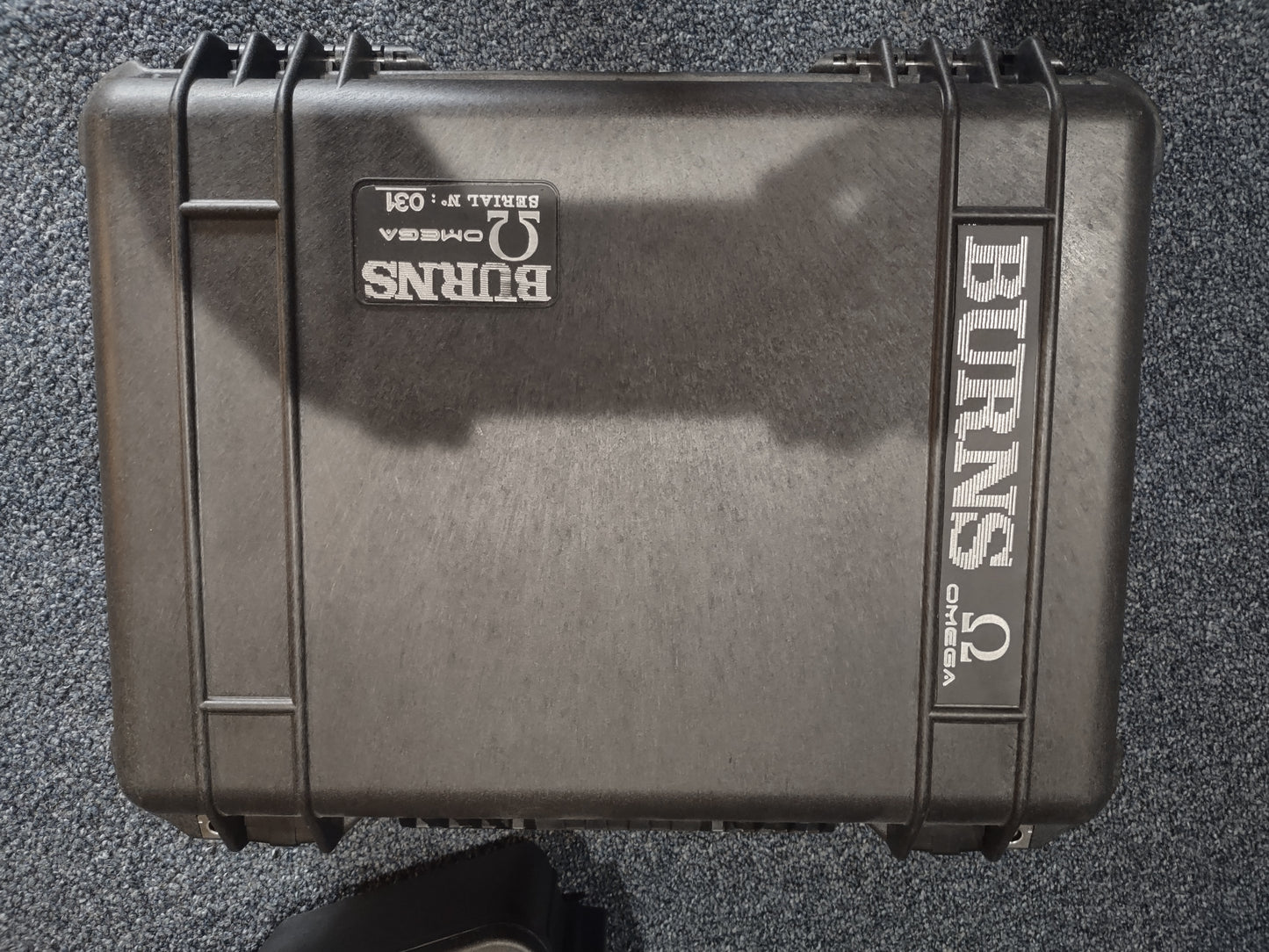 Synergy nodule case - Burns Omega 13 space