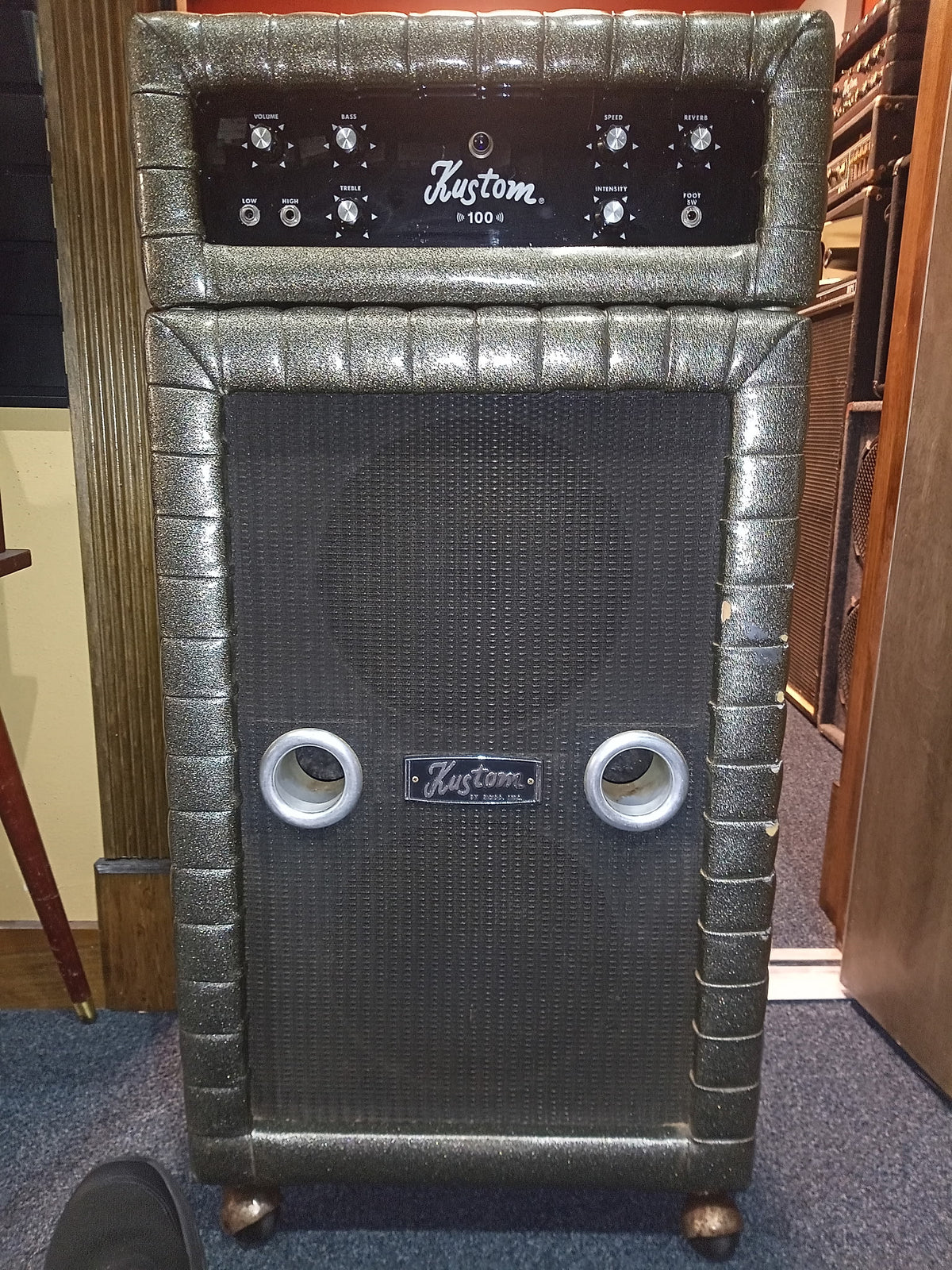 1969 Kustom 100-2 /silver