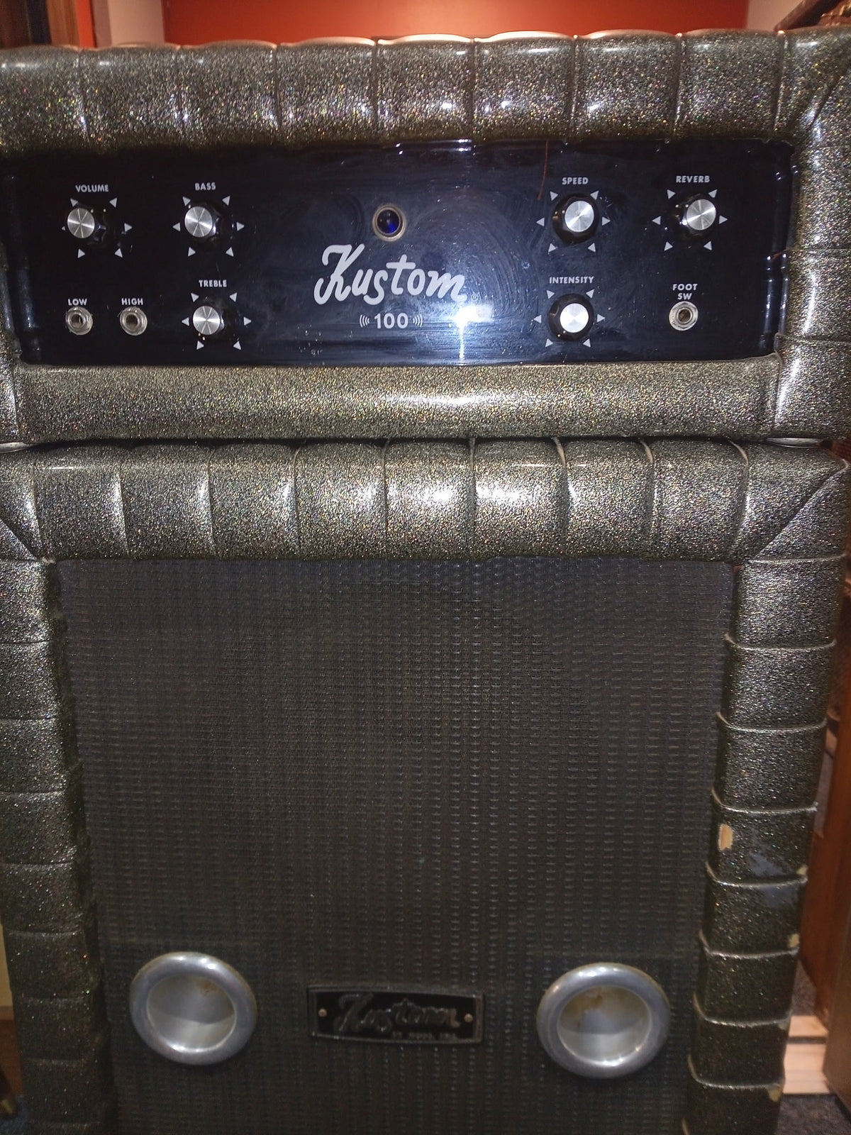 1969 Kustom 100-2 /silver