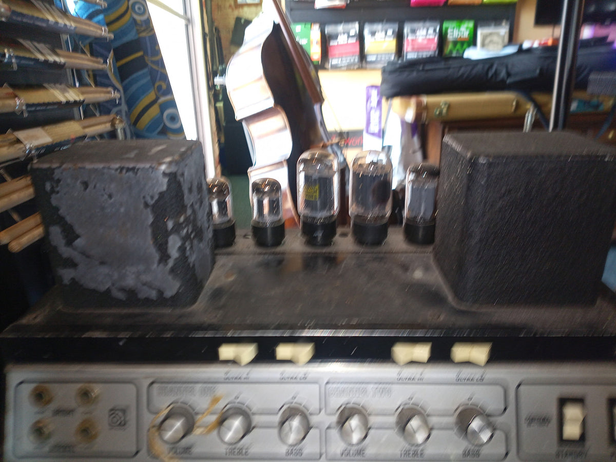 Ampeg B-15N