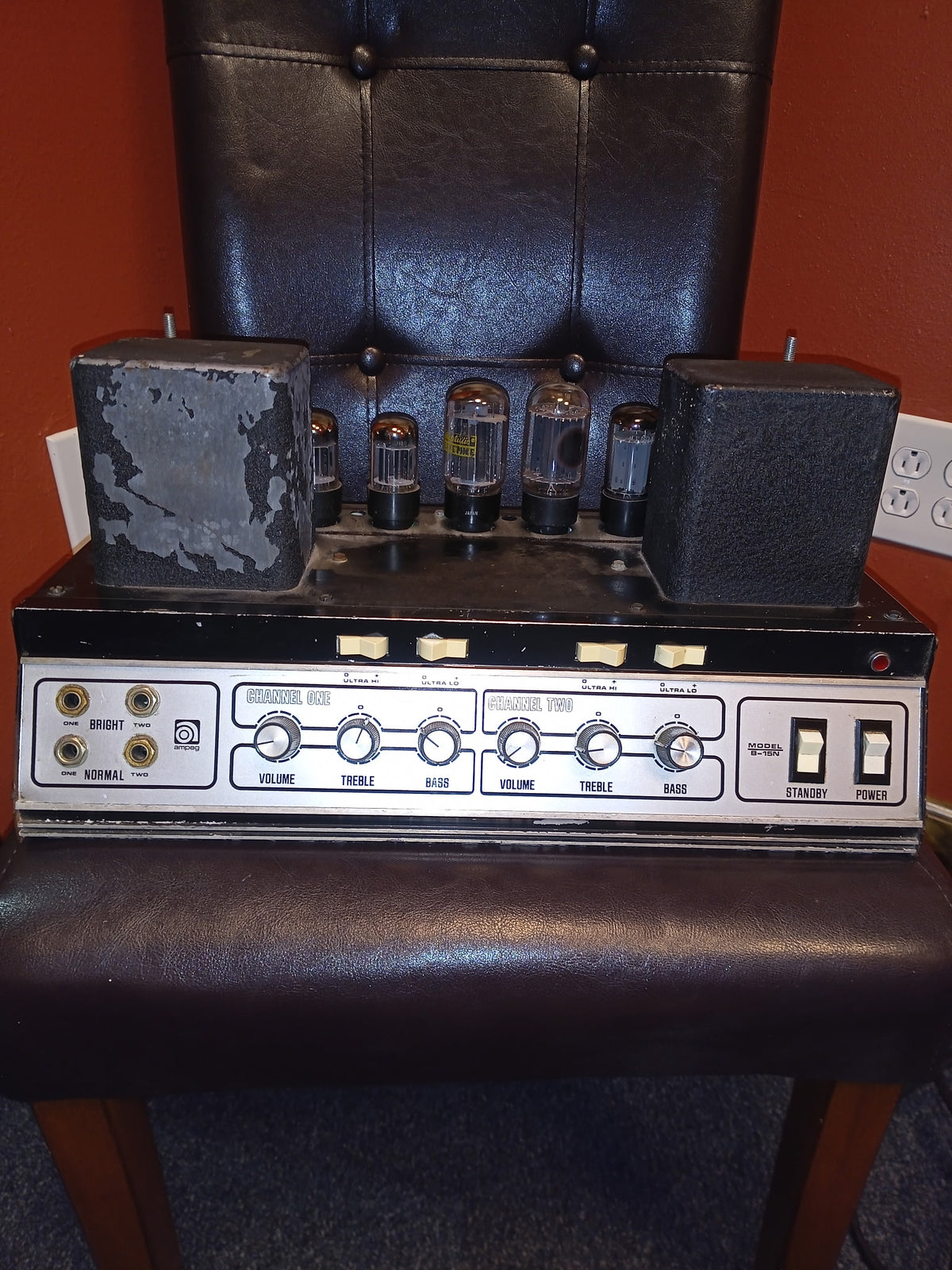 Ampeg B-15N