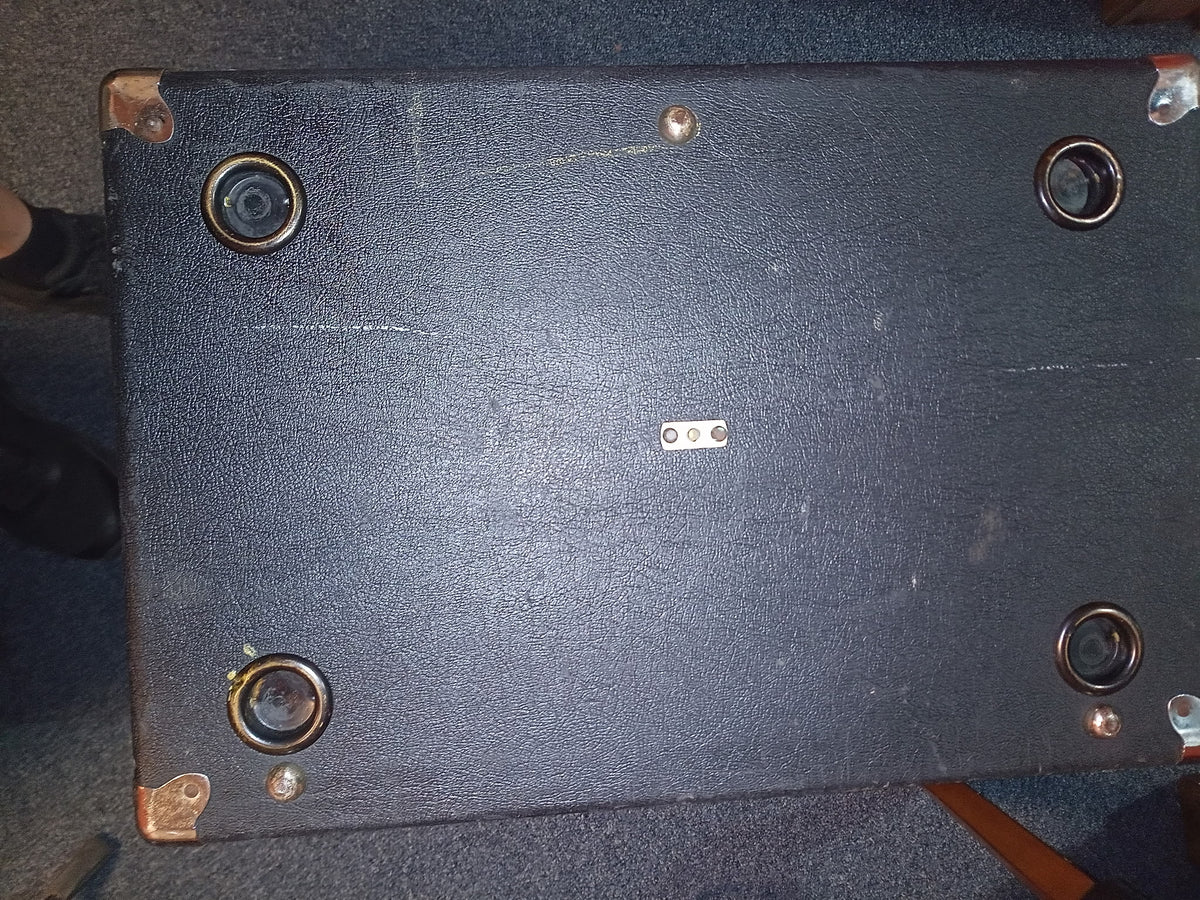 Ampeg B-15N