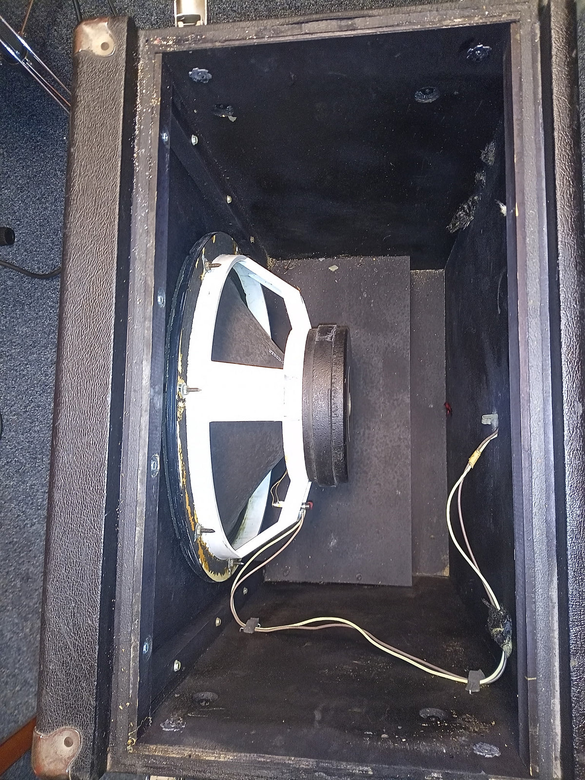 Ampeg B-15N