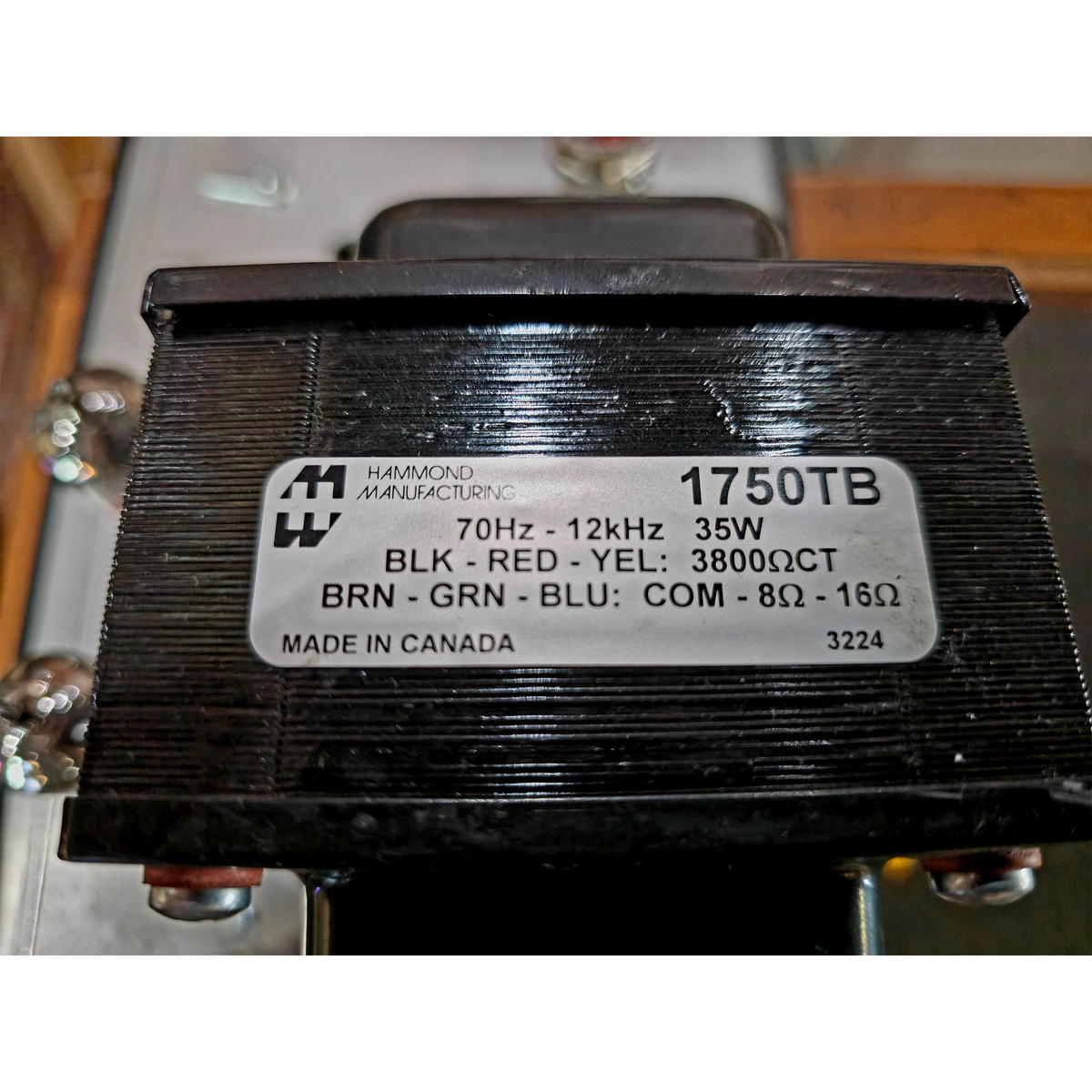 Mason Dixon amp. Fillmore Edition. with 2-12 Cabinet