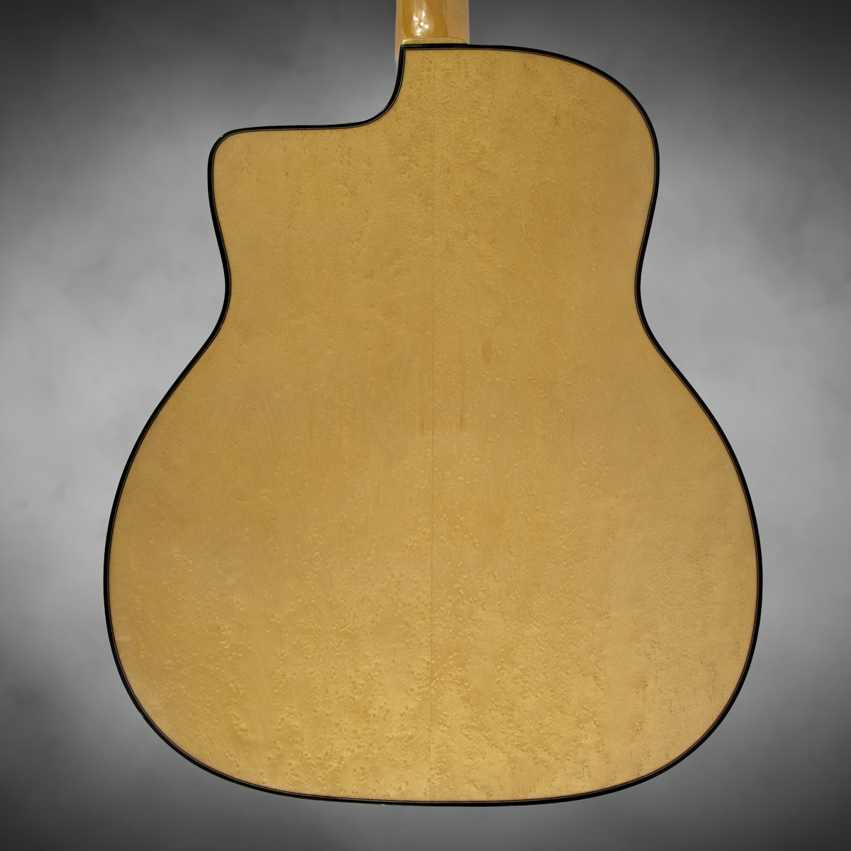 Gitane DG 250 M acoustic