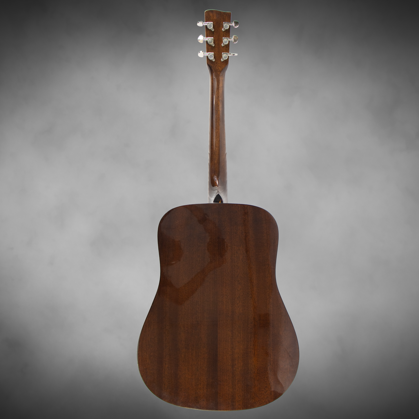 Recording King Guitar acoustic Dreadnought G6  Natural