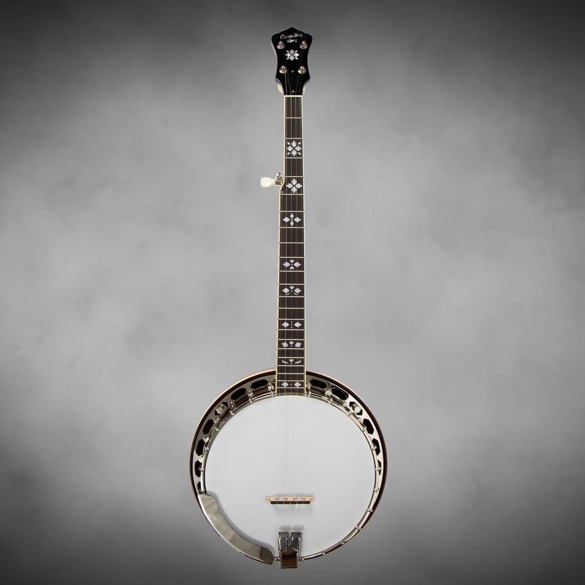 A $1,199 retail-value Recording King professional-style resonator banjo, offered new by Blue Note Music at a compelling price.