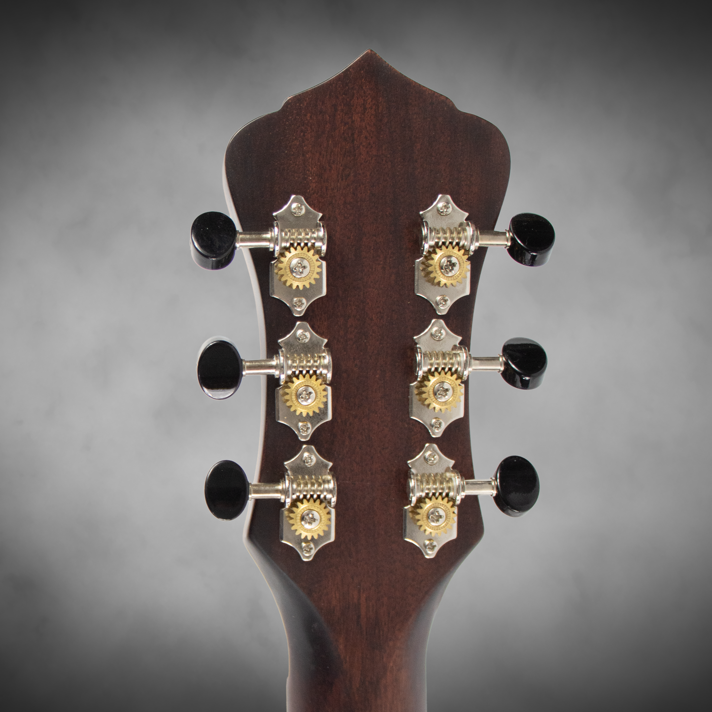 Recording King RM-997-VG Swamp Dog Style-O Resonator