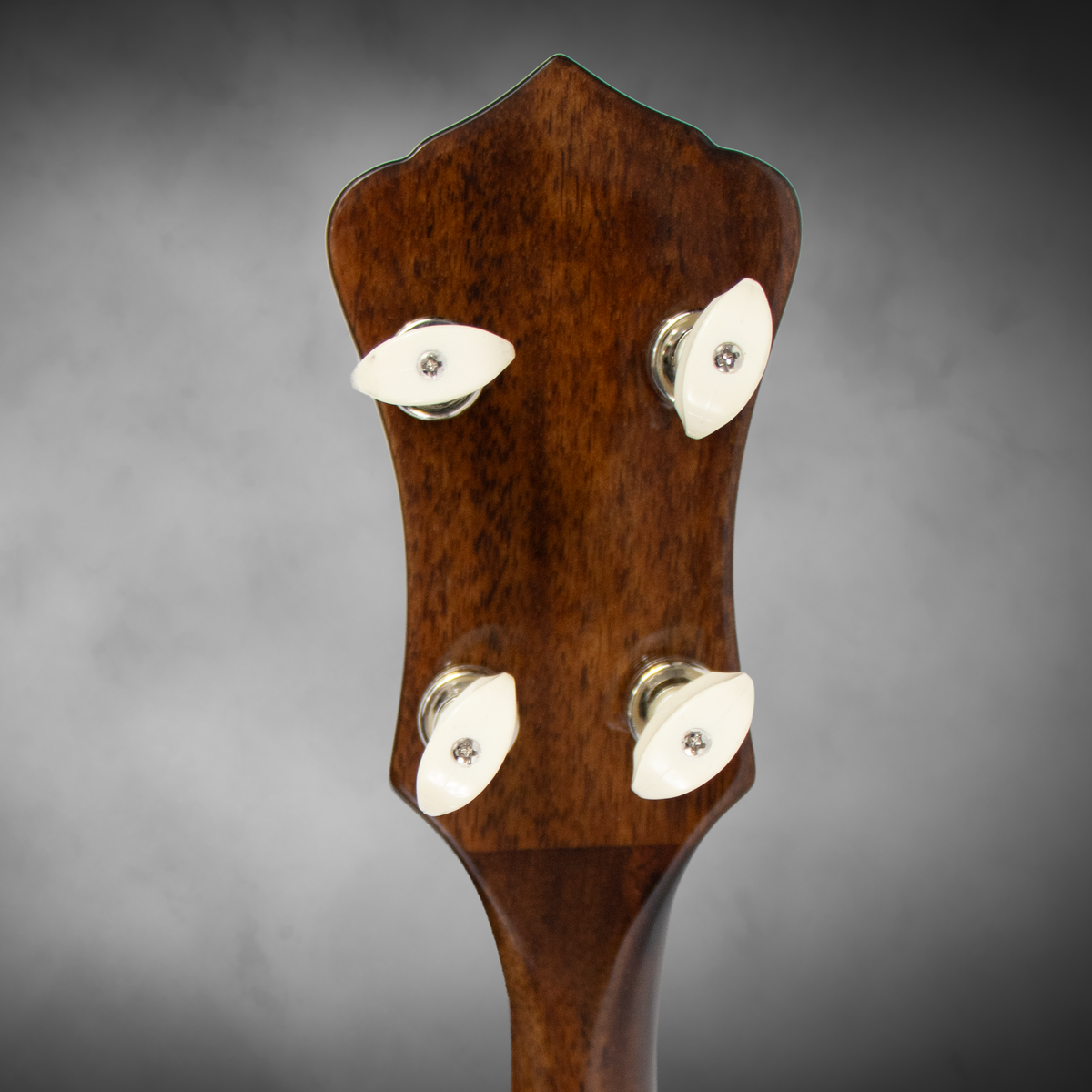 A $1,199 retail-value Recording King professional-style resonator banjo, offered new by Blue Note Music at a compelling price.