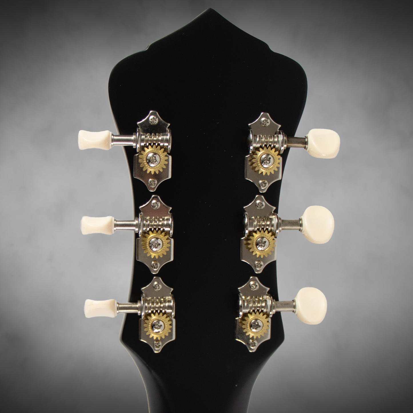 Recording King RPH-R2-E-MBK Dirty 30s Minnie Bucker Resonator