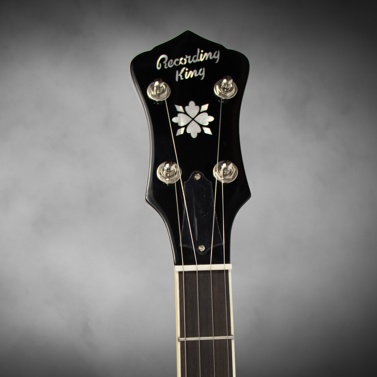 A $1,199 retail-value Recording King professional-style resonator banjo, offered new by Blue Note Music at a compelling price.