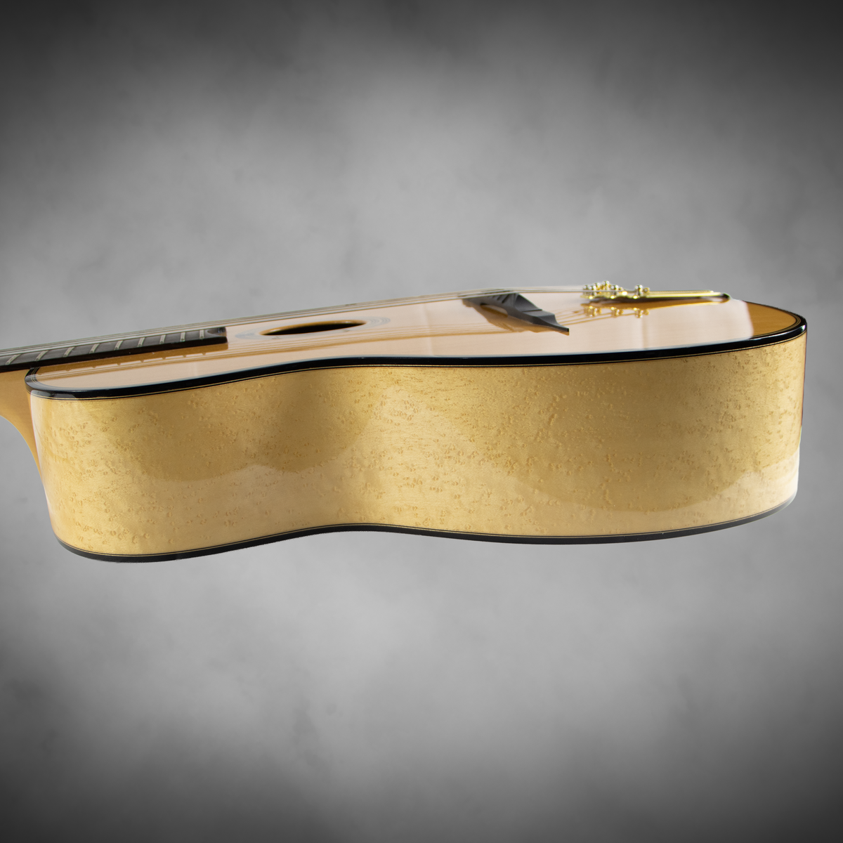 Gitane DG 250 M acoustic