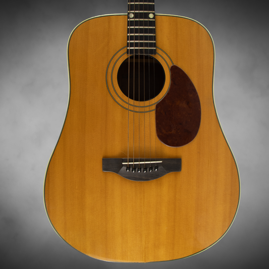 Kay 1950s K6000 Elmore James