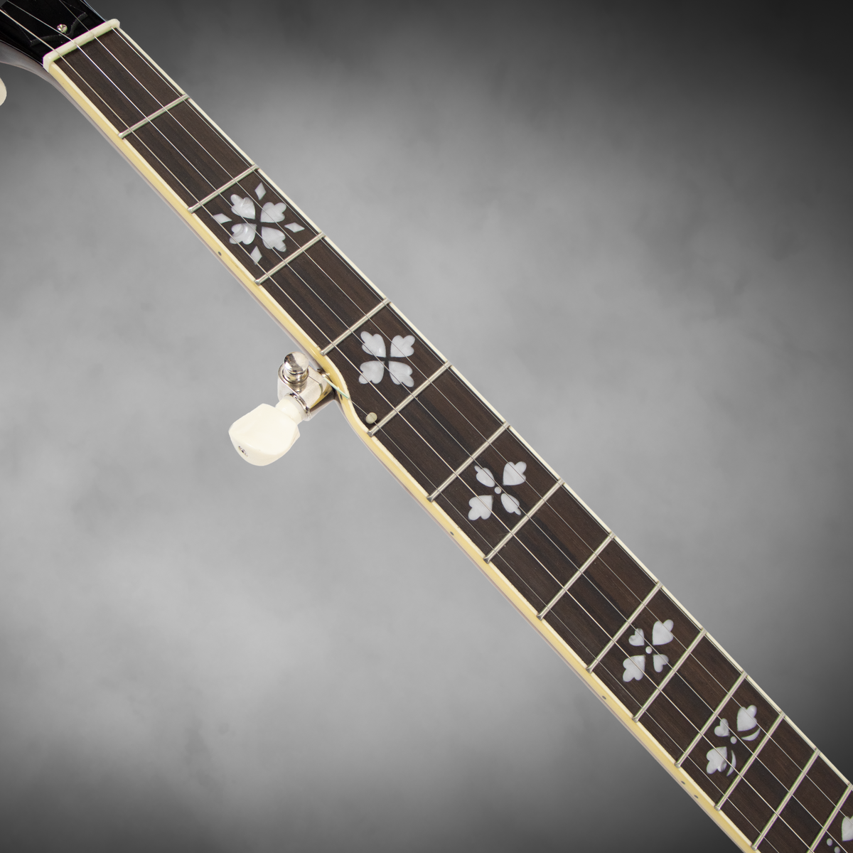 A $1,199 retail-value Recording King professional-style resonator banjo, offered new by Blue Note Music at a compelling price.