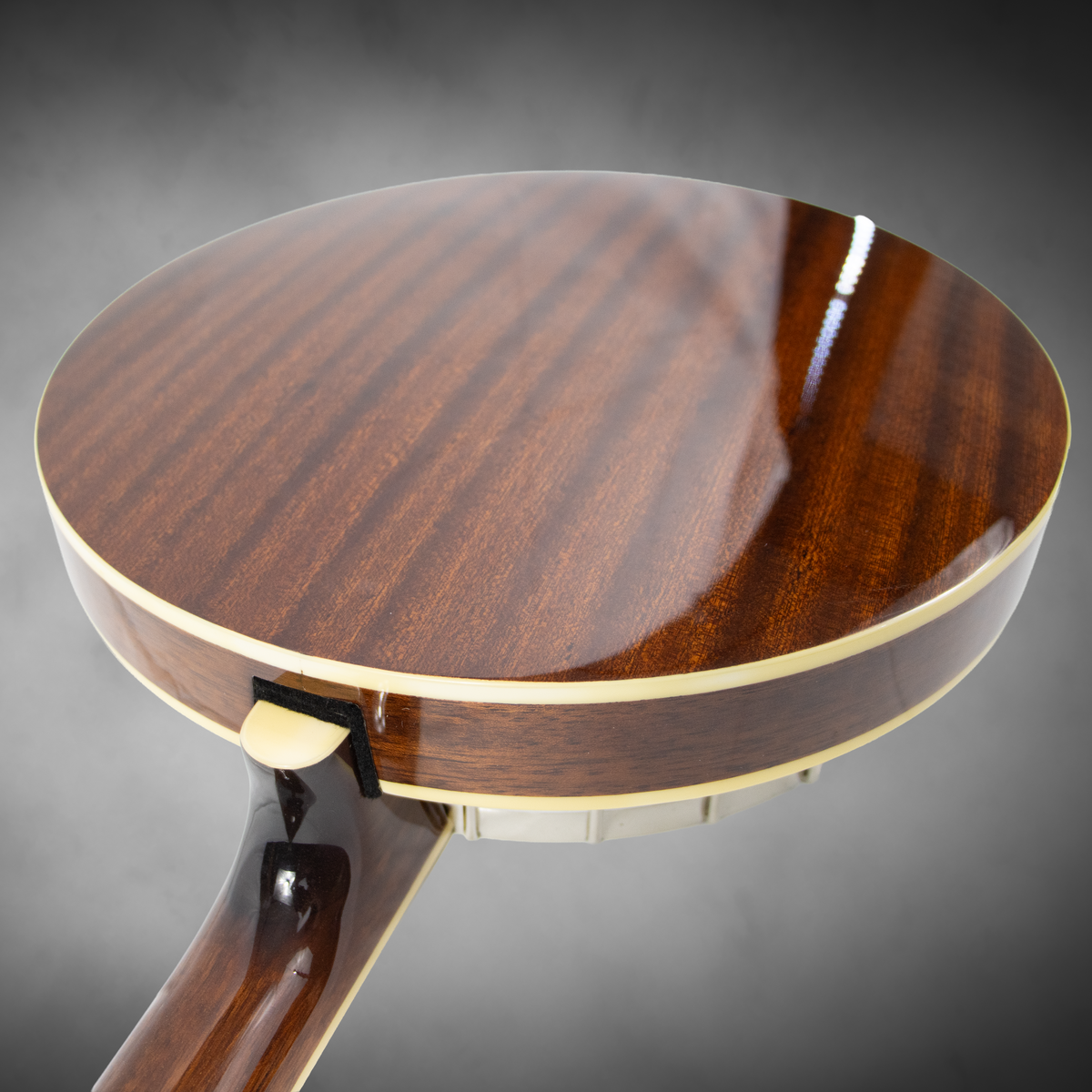 A $1,199 retail-value Recording King professional-style resonator banjo, offered new by Blue Note Music at a compelling price.