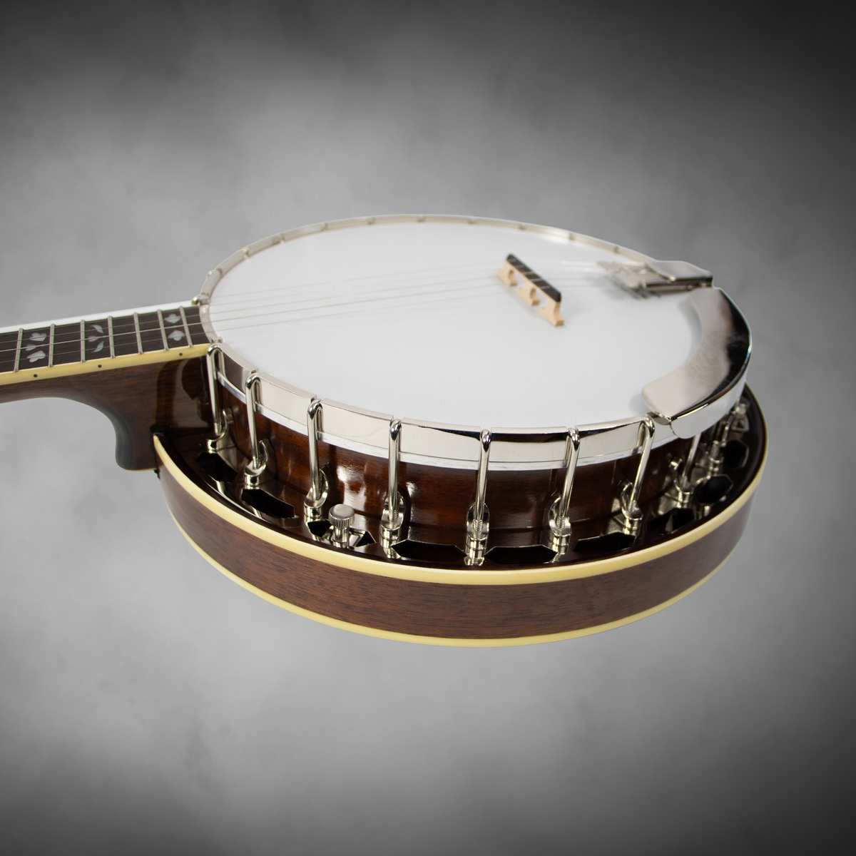 A $1,199 retail-value Recording King professional-style resonator banjo, offered new by Blue Note Music at a compelling price.